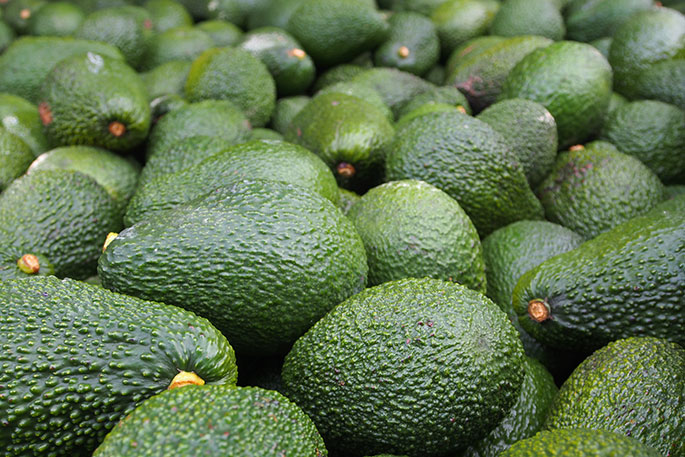 avocados