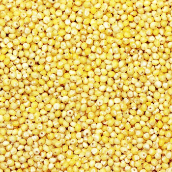 millet