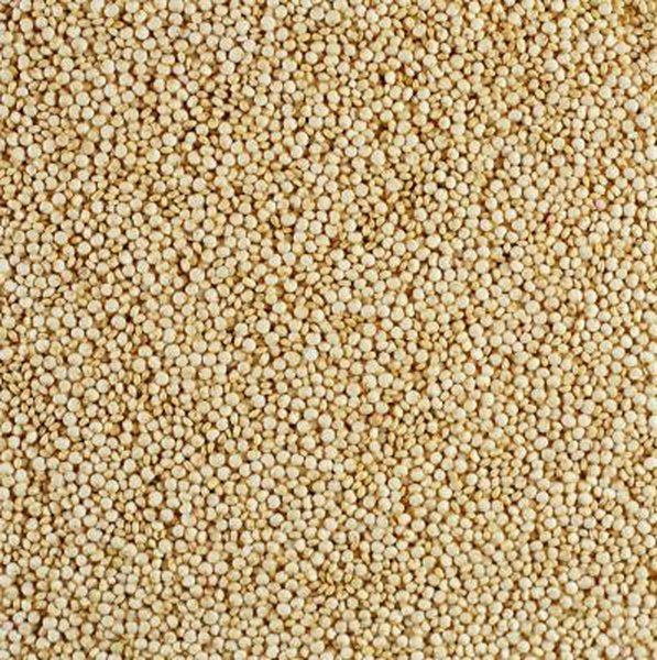 quinoa
